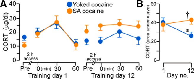 Figure 10.