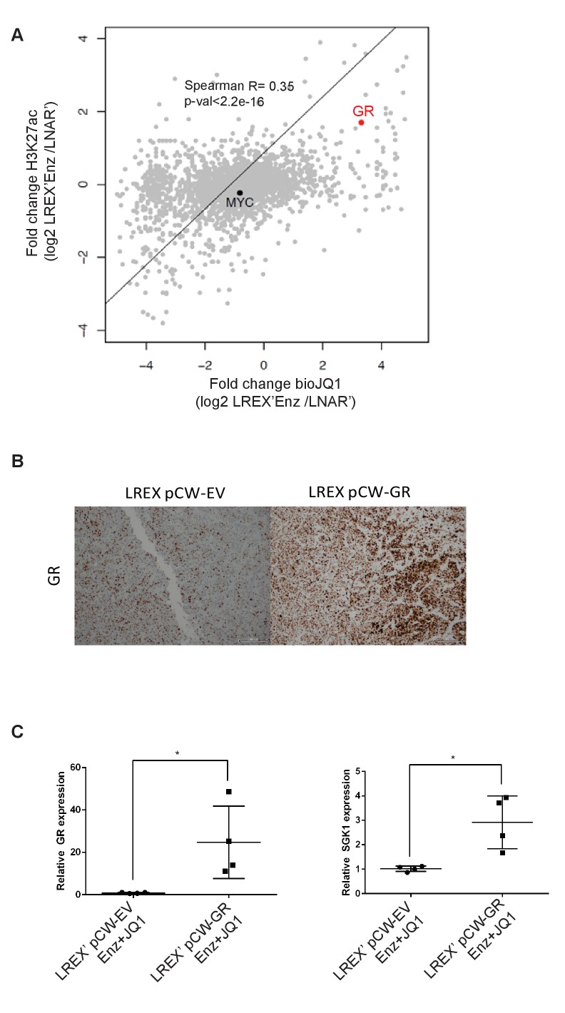 Figure 4—figure supplement 1.