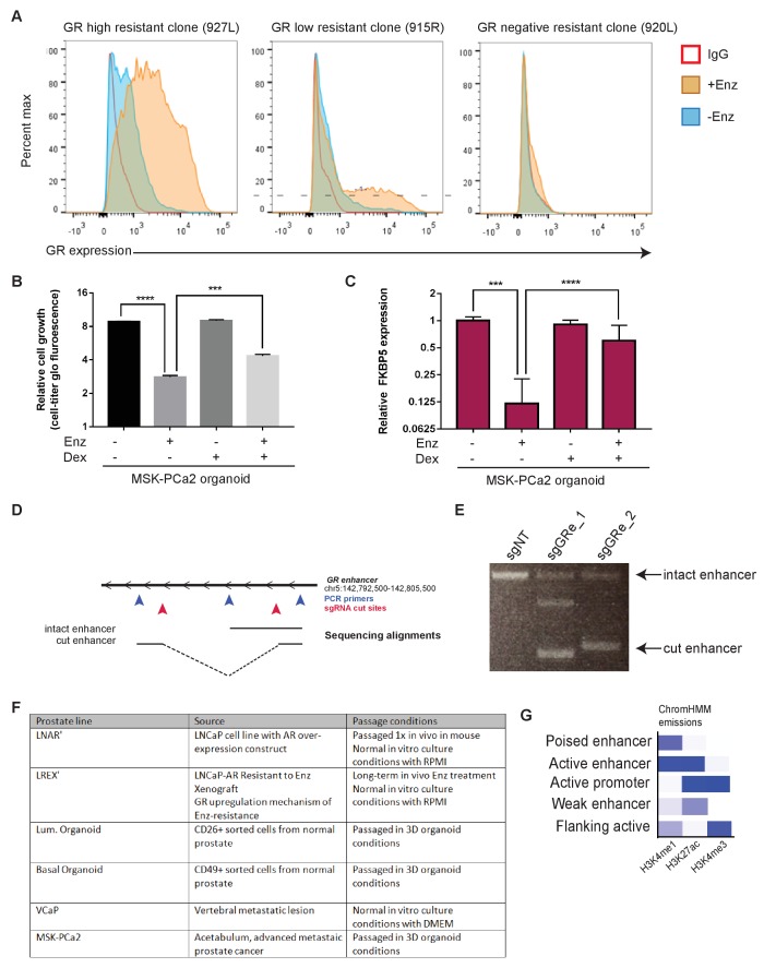 Figure 1—figure supplement 1.