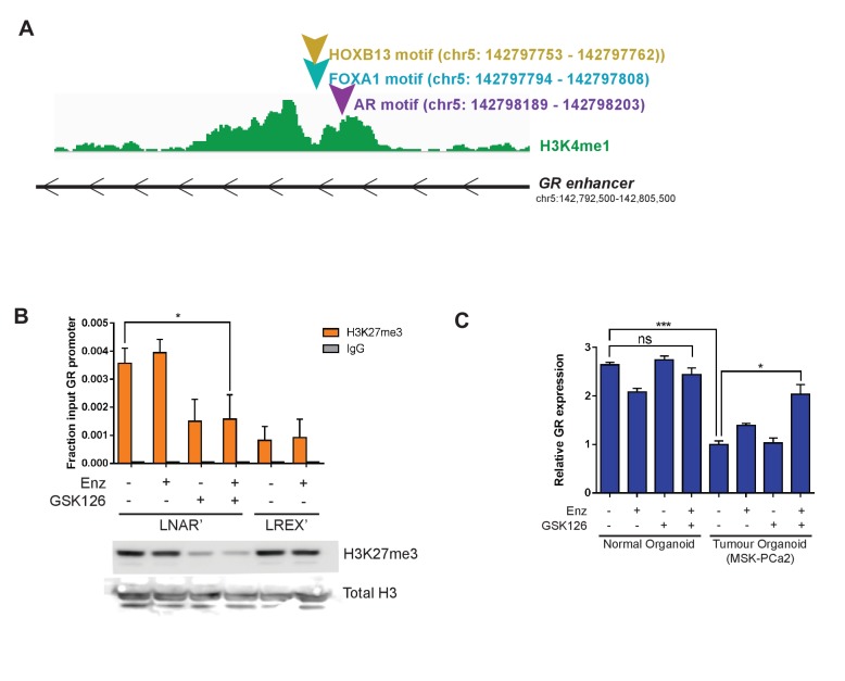 Figure 2—figure supplement 2.