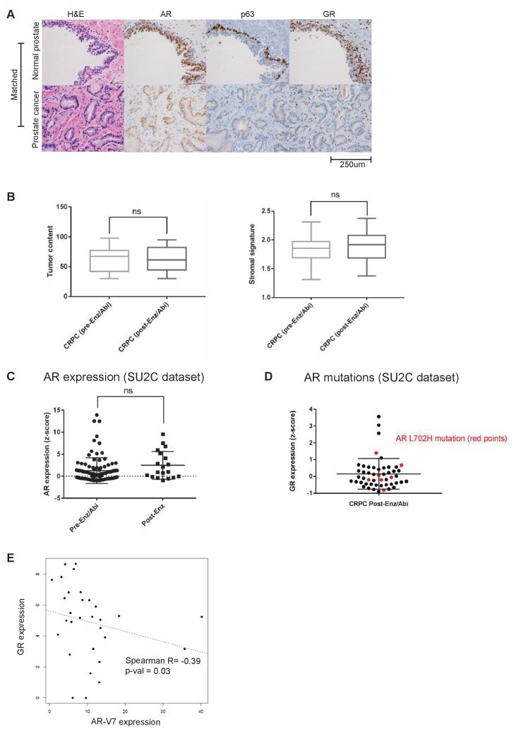 Figure 2—figure supplement 1.