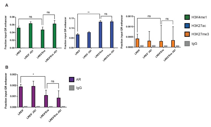 Figure 3—figure supplement 1.