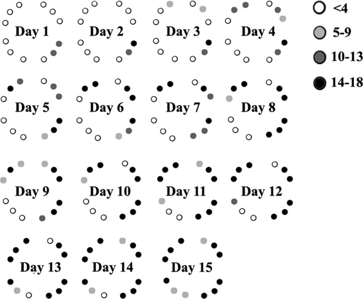 Figure 5.