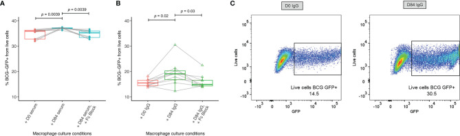 Figure 6