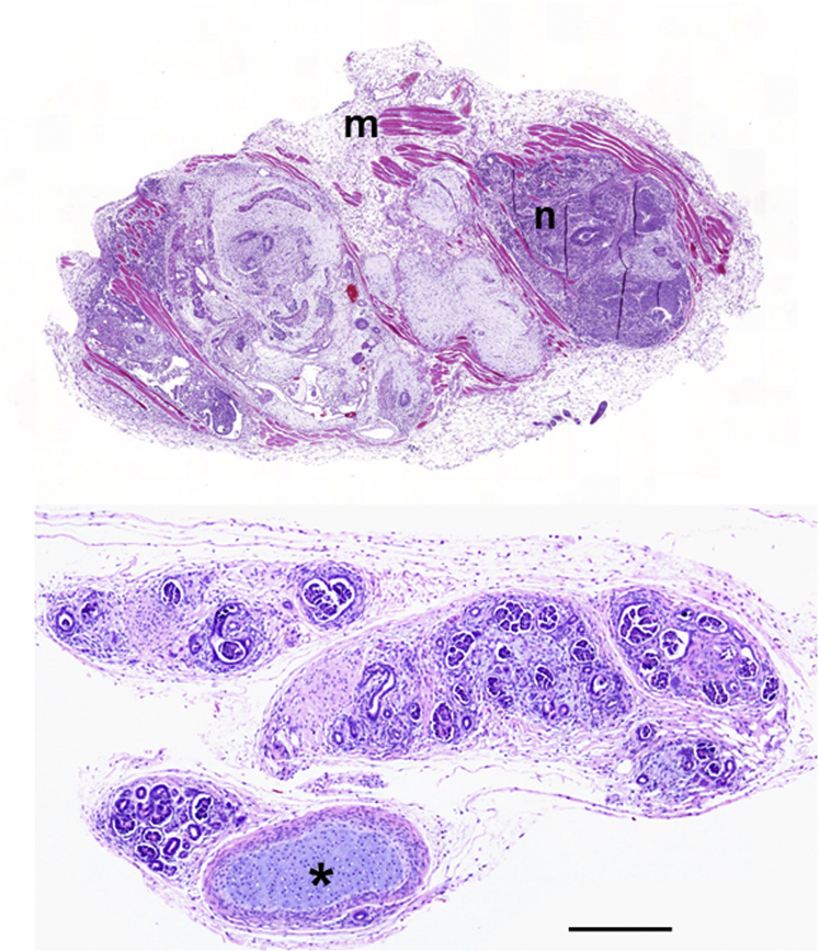 Figure 3