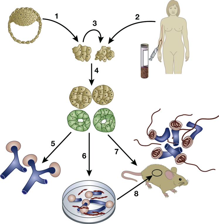 Figure 2