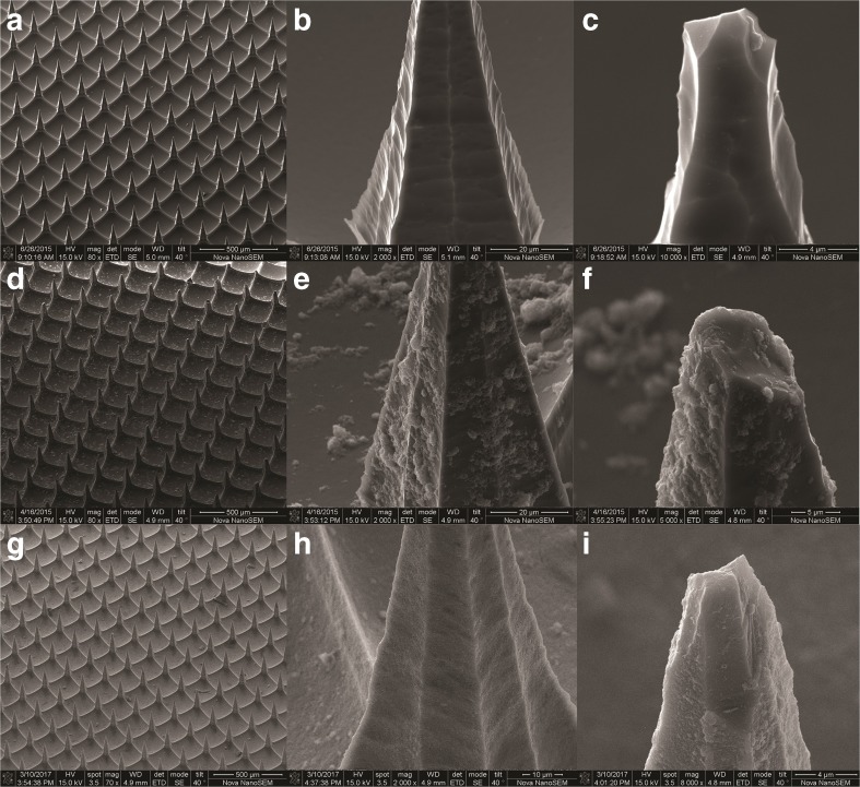 Fig. 5