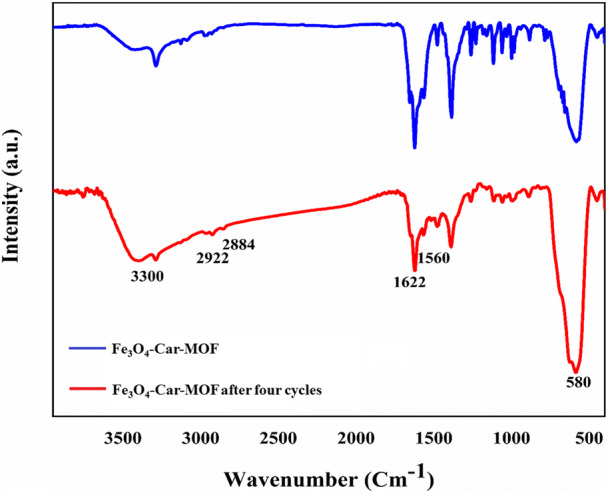 Fig. 10