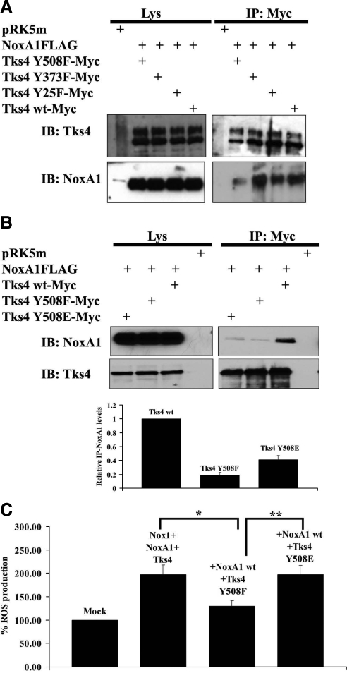 Figure 4.