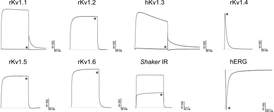 Fig. 8.