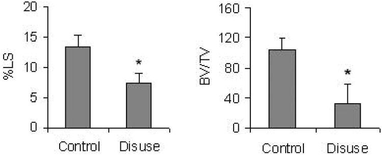 Fig.1