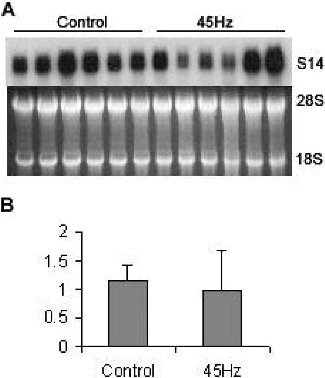 Fig.3