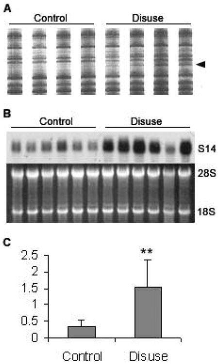 Fig.2