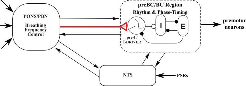 Fig. 11.