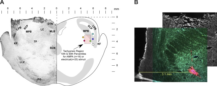 Fig. 3.