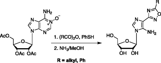 Scheme 5.