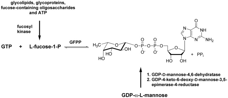 Figure 9.