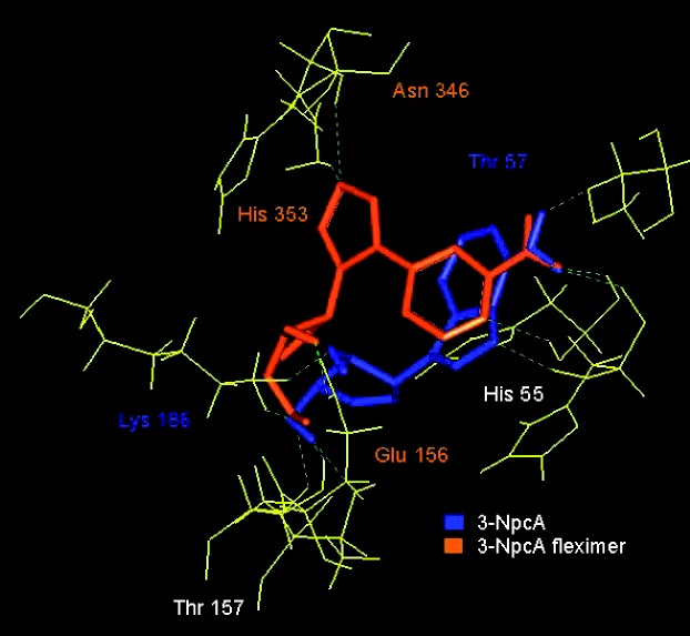 Figure 13.