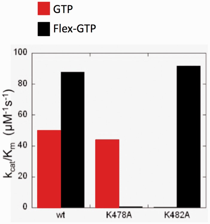 Figure 10.