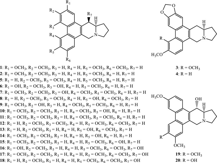 Fig. 3