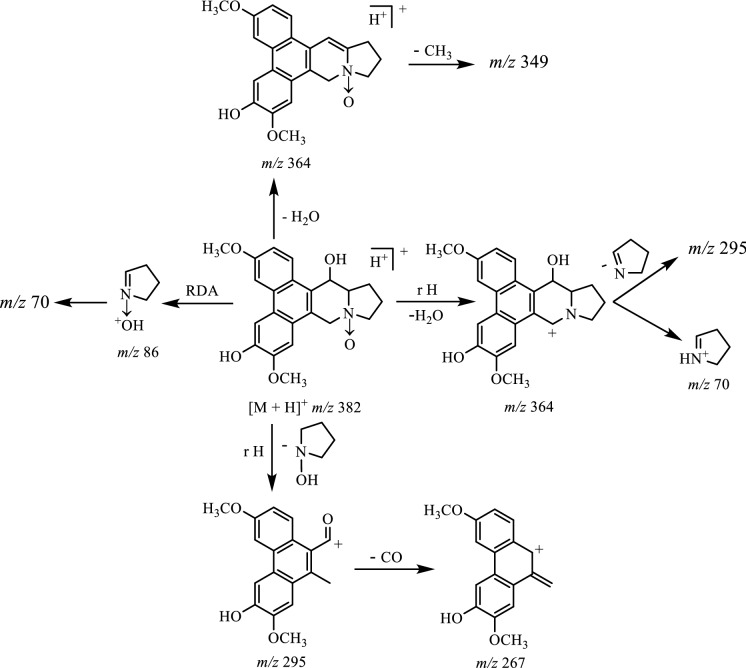 Fig. 8