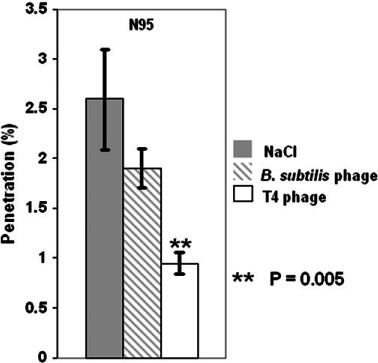 Fig. 9.