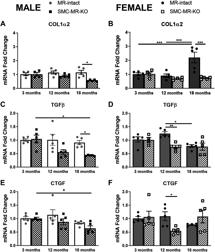 Fig 6.