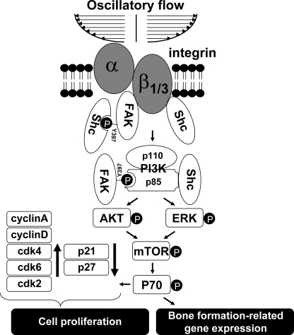 FIGURE 9.