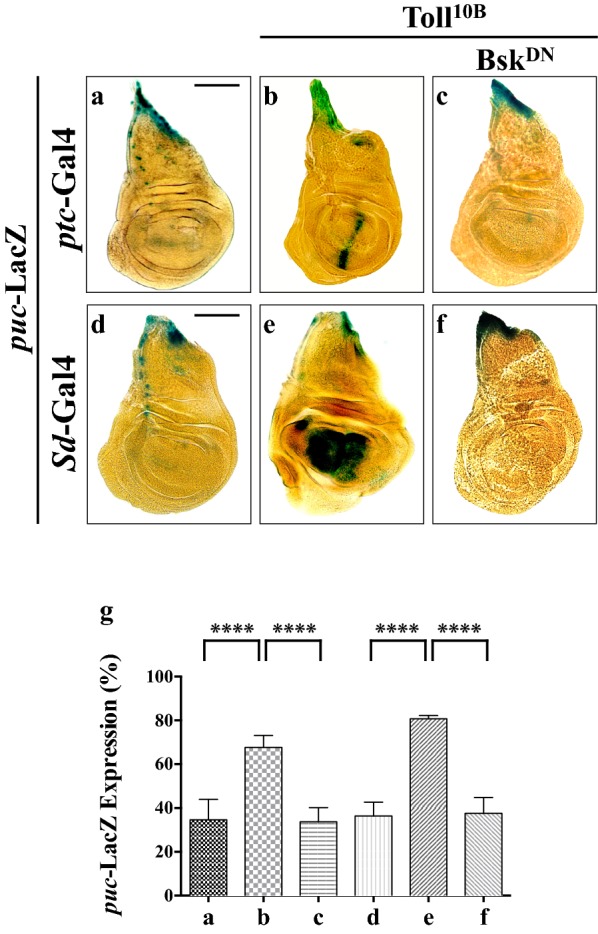 Fig. 4