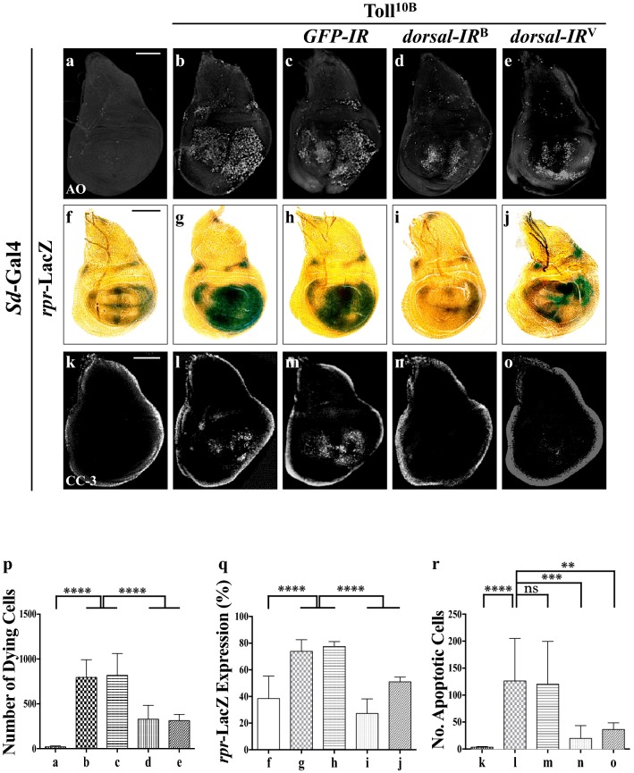 Fig. 2