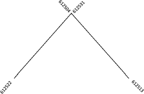 Fig. 3