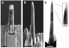 Fig. 6