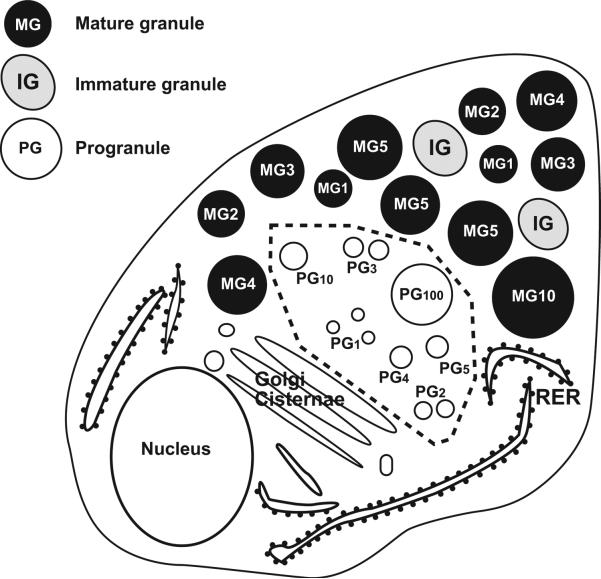 Fig. 7