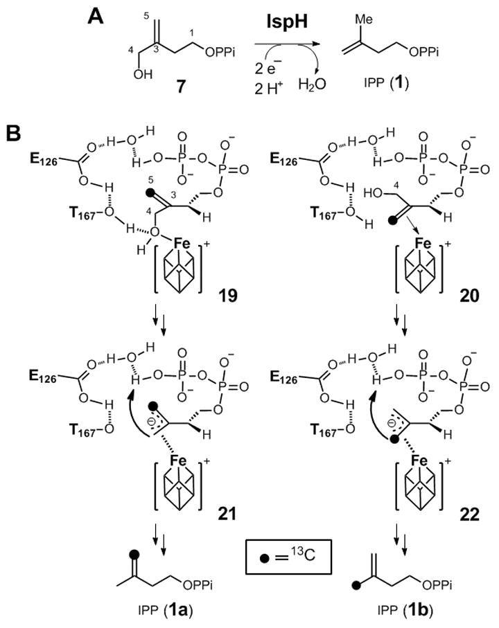 Scheme 3