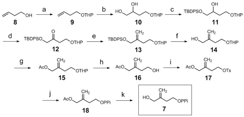 Scheme 2