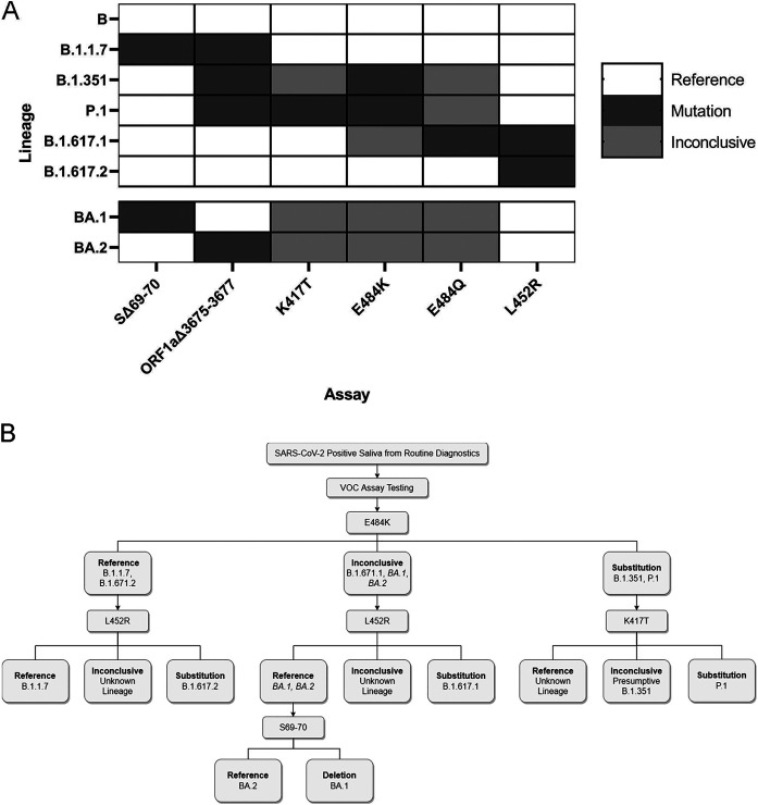 FIG 3