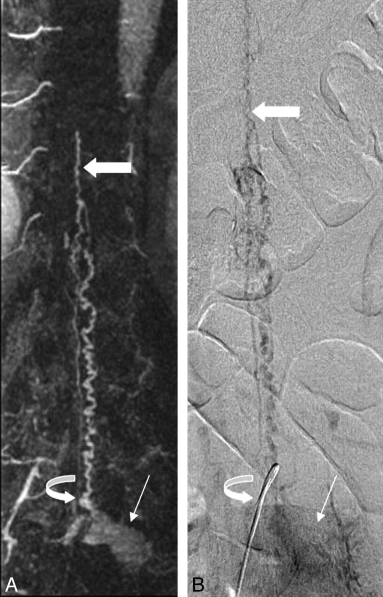 Fig 3.