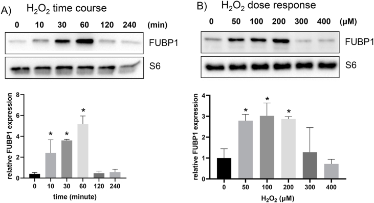 Fig. 11