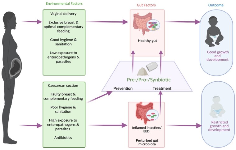 Figure 1