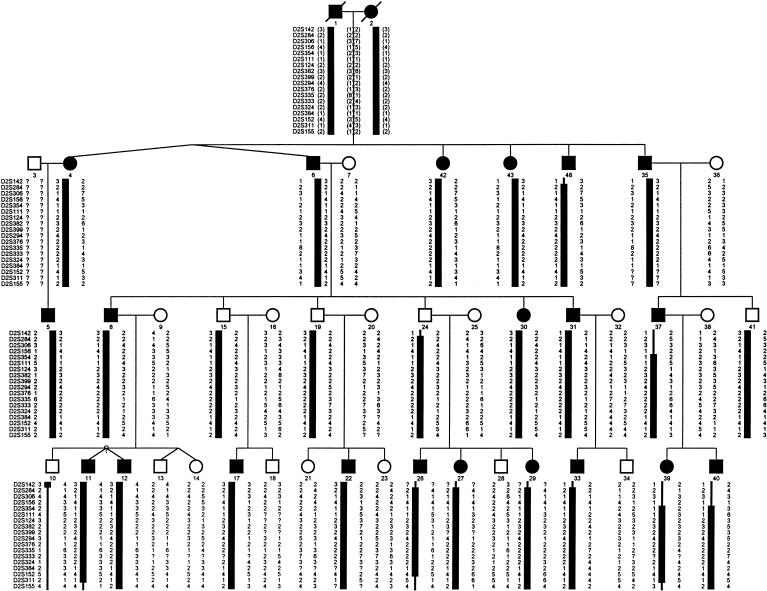 Figure  1