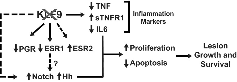 Figure 7.