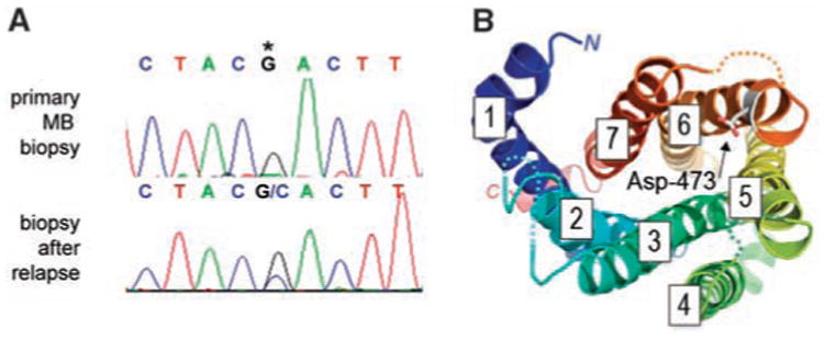 Fig 1