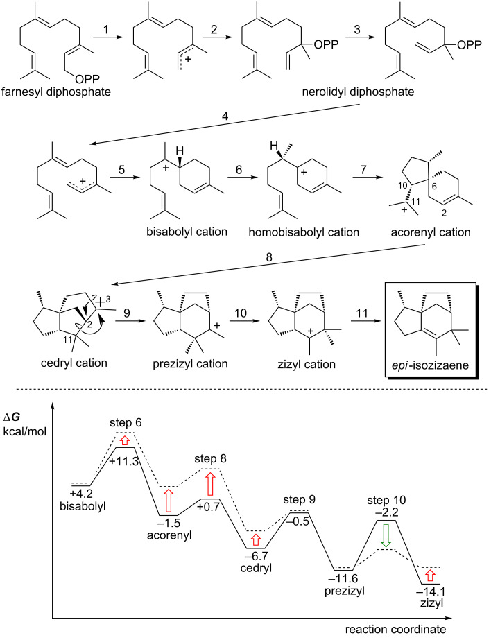 Figure 11