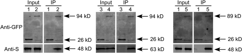 Fig. 3.