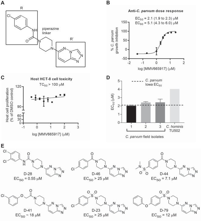 FIG 1