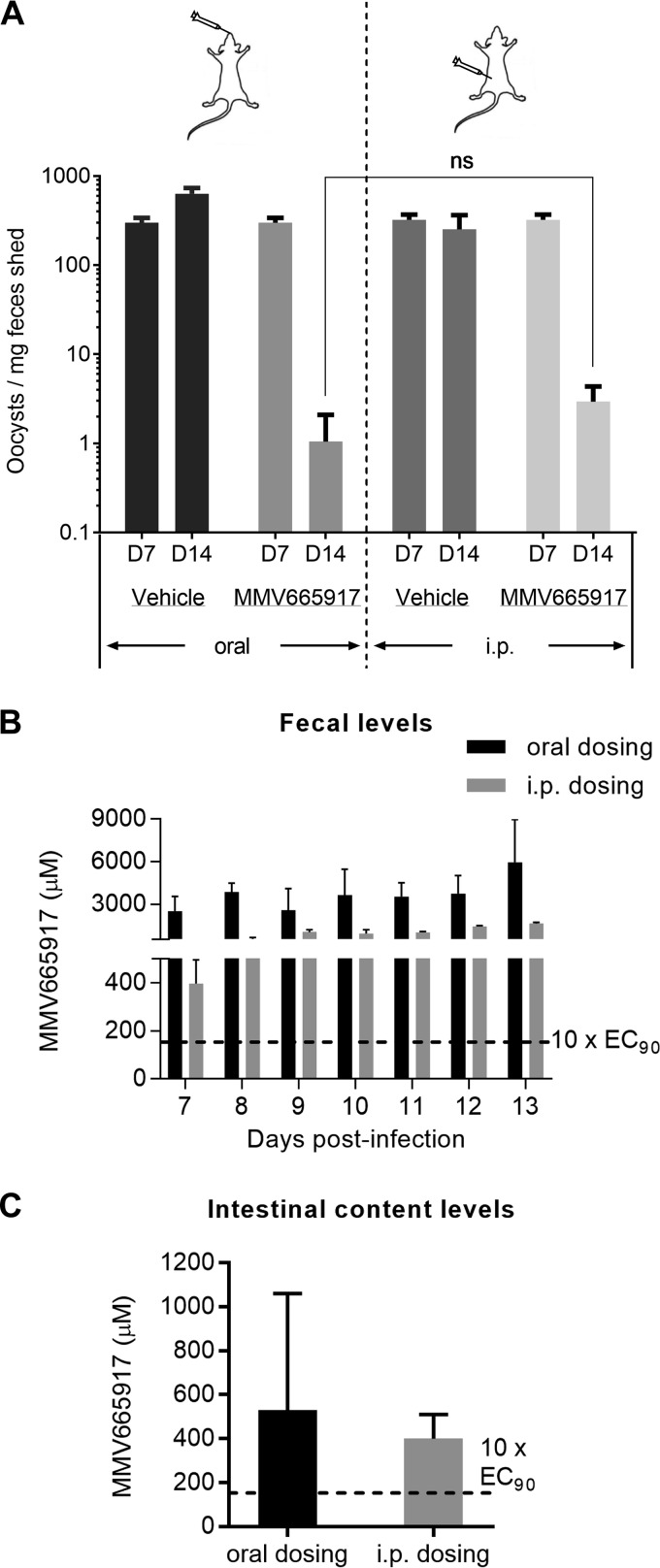 FIG 4