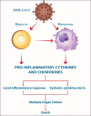 Unlabelled Image