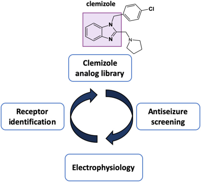 Graphical Abstract