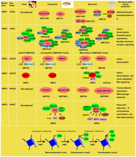 graphic file with name nihms453052u1.jpg