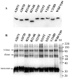 FIG. 8.